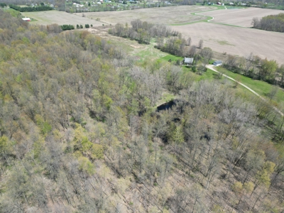 Build-Ready Wooded Lot For Sale in Centerburg, Ohio - image 4