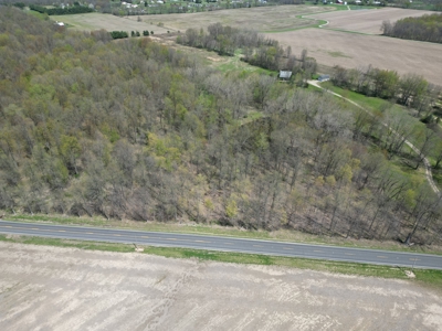 Build-Ready Wooded Lot For Sale in Centerburg, Ohio - image 2