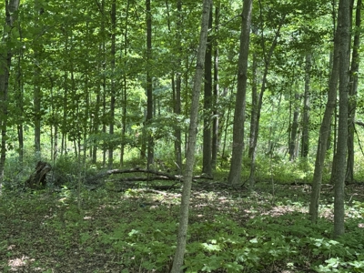 Build-Ready Wooded Lot For Sale in Centerburg, Ohio - image 12