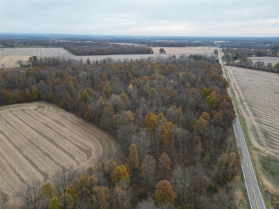 Build-Ready Wooded Lot For Sale in Centerburg, Ohio - image 7