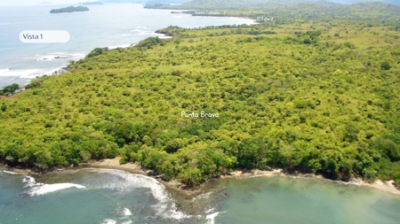 Punta Brava Land Sale Santa Catalina - 84 Hectares Oceanfront - image 5
