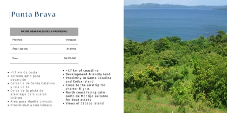 Punta Brava Land Sale Santa Catalina - 84 Hectares Oceanfront - image 6