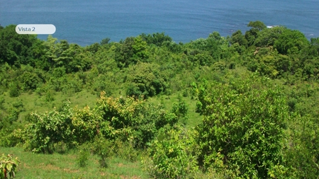 Punta Brava Land Sale Santa Catalina - 84 Hectares Oceanfront - image 4