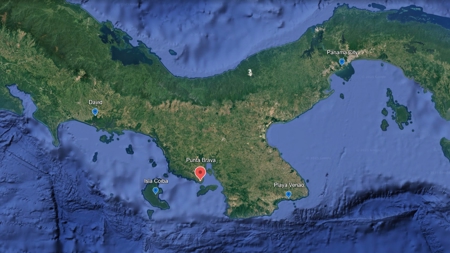 Punta Brava Land Sale Santa Catalina - 84 Hectares Oceanfront - image 2