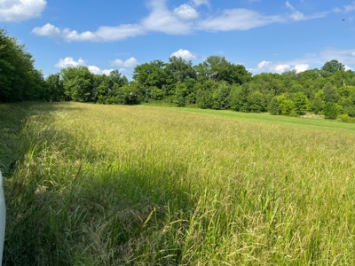 24 mostly cleared acres near Smiths Grove Ky. for sale. - image 6