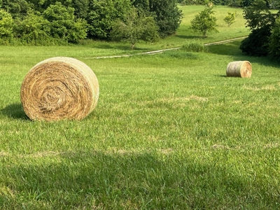24 mostly cleared acres near Smiths Grove Ky. for sale. - image 13