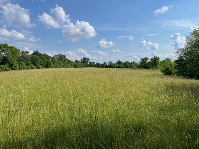 24 mostly cleared acres near Smiths Grove Ky. for sale. - image 1