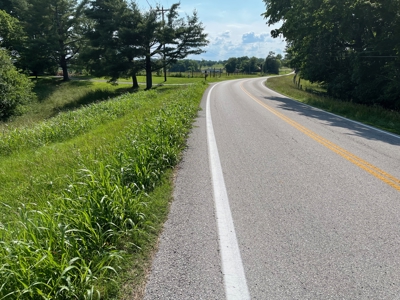 24 mostly cleared acres near Smiths Grove Ky. for sale. - image 8