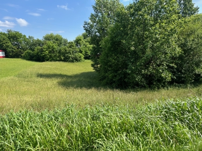 24 mostly cleared acres near Smiths Grove Ky. for sale. - image 10