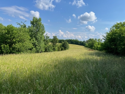 24 mostly cleared acres near Smiths Grove Ky. for sale. - image 5