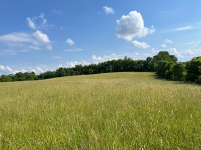 24 mostly cleared acres near Smiths Grove Ky. for sale. - image 9