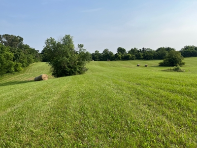 24 mostly cleared acres near Smiths Grove Ky. for sale. - image 15