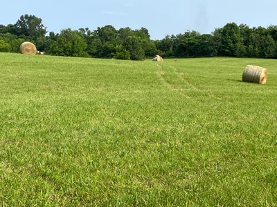 24 mostly cleared acres near Smiths Grove Ky. for sale. - image 14