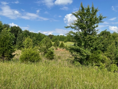 24 mostly cleared acres near Smiths Grove Ky. for sale. - image 11