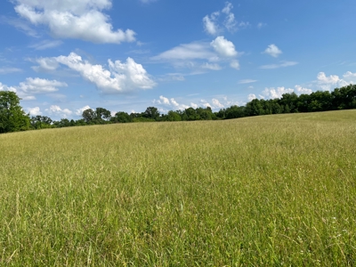 24 mostly cleared acres near Smiths Grove Ky. for sale. - image 7