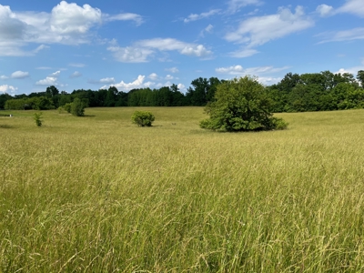 24 mostly cleared acres near Smiths Grove Ky. for sale. - image 4