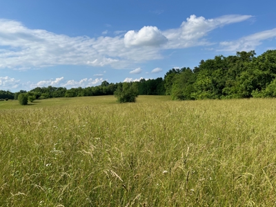 24 mostly cleared acres near Smiths Grove Ky. for sale. - image 3