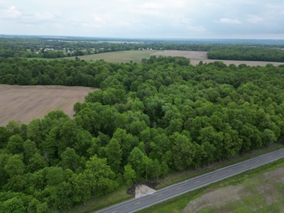 Building Acreage For Sale in Centerburg, Ohio - image 4
