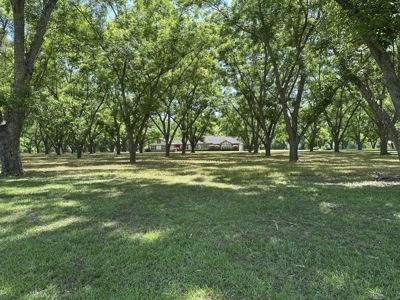Beautiful Homesite situated on 7.27 acres with mature pecan trees - image 11