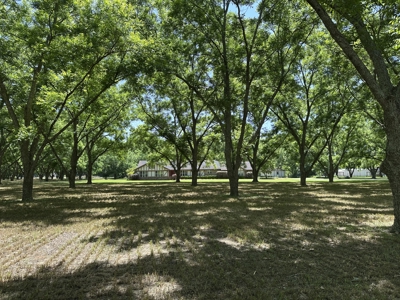 Beautiful Homesite situated on 7.27 acres with mature pecan trees - image 2