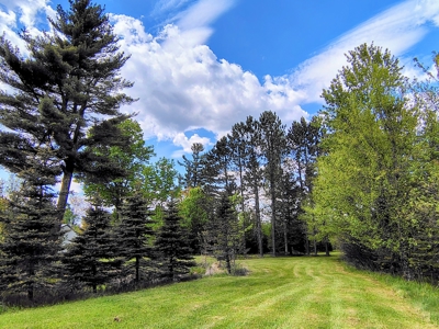Country Home with Acreage for Sale in Glidden, Wisconsin - image 43