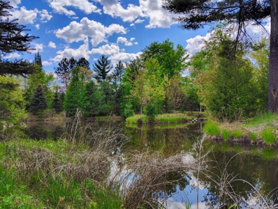Country Home with Acreage for Sale in Glidden, Wisconsin - image 35