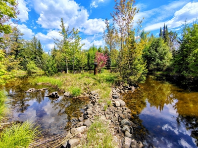 Country Home with Acreage for Sale in Glidden, Wisconsin - image 42