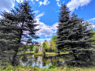 Country Home with Acreage for Sale in Glidden, Wisconsin - image 44