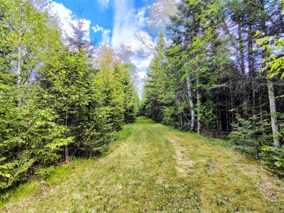 Country Home with Acreage for Sale in Glidden, Wisconsin - image 37