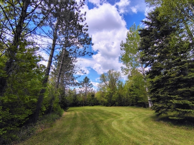 Country Home with Acreage for Sale in Glidden, Wisconsin - image 32