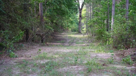 South Mississippi Hunting Paradise for Sale Amite County,MS - image 12