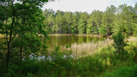 South Mississippi Hunting Paradise for Sale Amite County,MS - image 28
