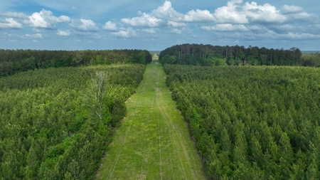 South Mississippi Hunting Paradise for Sale Amite County,MS - image 7