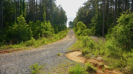 South Mississippi Hunting Paradise for Sale Amite County,MS - image 34