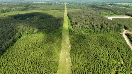 South Mississippi Hunting Paradise for Sale Amite County,MS - image 1