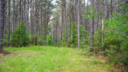South Mississippi Hunting Paradise for Sale Amite County,MS - image 19