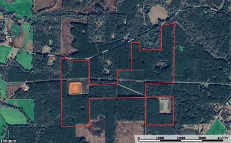South Mississippi Hunting Paradise for Sale Amite County,MS - image 47
