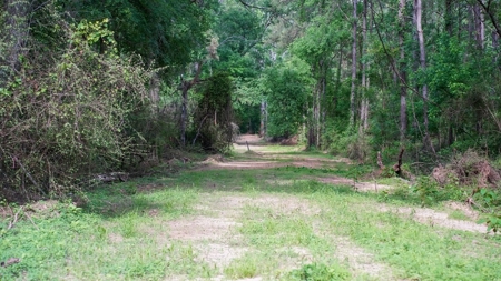 South Mississippi Hunting Paradise for Sale Amite County,MS - image 23