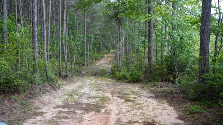 South Mississippi Hunting Paradise for Sale Amite County,MS - image 16