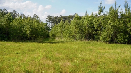South Mississippi Hunting Paradise for Sale Amite County,MS - image 32