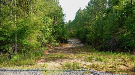 South Mississippi Hunting Paradise for Sale Amite County,MS - image 36
