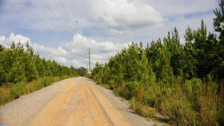 South Mississippi Hunting Paradise for Sale Amite County,MS - image 35