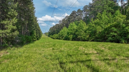 South Mississippi Hunting Paradise for Sale Amite County,MS - image 8