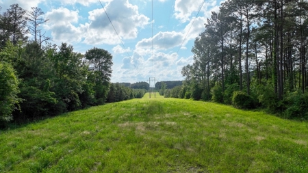South Mississippi Hunting Paradise for Sale Amite County,MS - image 6