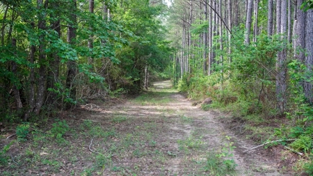 South Mississippi Hunting Paradise for Sale Amite County,MS - image 10