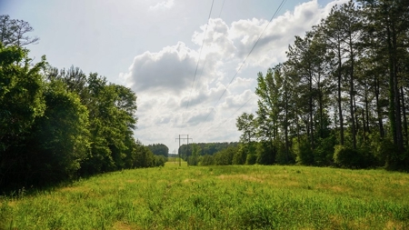 South Mississippi Hunting Paradise for Sale Amite County,MS - image 31