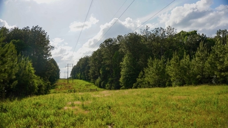 South Mississippi Hunting Paradise for Sale Amite County,MS - image 33