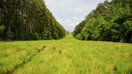 South Mississippi Hunting Paradise for Sale Amite County,MS - image 30