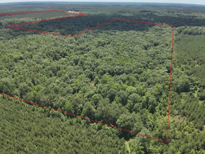 Large Hunting Land for Sale near Rison, AR W/ Hardwood Creek - image 20