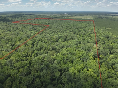 Large Hunting Land for Sale near Rison, AR W/ Hardwood Creek - image 19